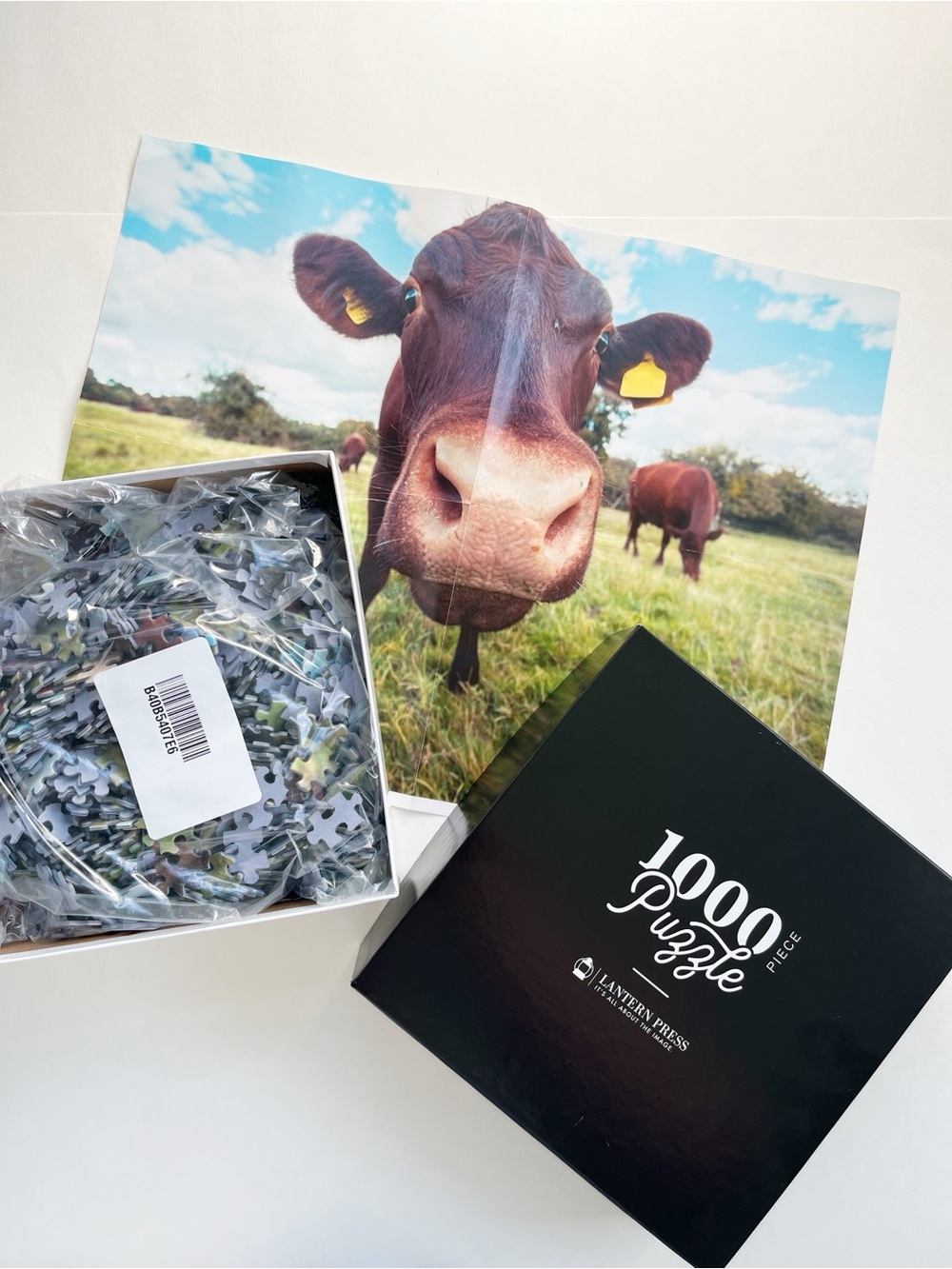 New 1000 Piece Cow Puzzle - Lantern Press